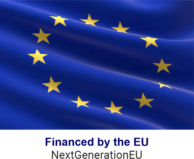 Financed by the EU